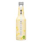 朝日山 ゆずノムネ 発泡性リキュール 250ml 販売地域限定