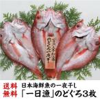 送料無料  「一日漁」 のどぐろ 一夜干し 3枚 約660g のどくろ あかむつ 干物 ひもの 焼魚 家呑み 肴 高級魚 贈り物 ギフト冷凍 島根 岡富 (産直)