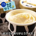 12/5限定P5倍 (予約)送料無料 お父さんありがとうアイス 御中元 お中元 2024 カード付 アイス スイーツ ディーム 産地直送 (産直)