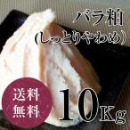 ショッピングバラ しっとりやわめの上質な純米酒粕　バラ粕しっとりめ 10kg　甘酒　粕汁　奈良漬