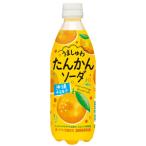 【限定】サンガリア　うましゅわたんかんソーダ　500ml　【バラ1本】