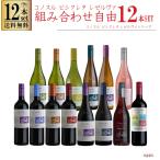 組み合わせ自由 コノスル ビシクレタ レゼルバ ヴァラエタル 12本 ワインセット チリ 750ml 送料無料 一部地域送料無料対象外