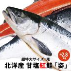  Northern Sea производство . соль нерка [.] очень большой размер 1 хвост ( примерно 2.8kg) Россия производство жарение рыба нерка salmon подарок бесплатная доставка 
