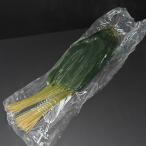 国産 熊笹 軸付100枚 X2�