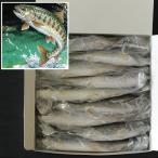  чудесный Kiyoshi ... река. amago1kg 9 хвост X1 мяч одна сторона холм . рыба ..yuz........ голубой средний Цу Akira бог гора для бизнеса запас 