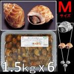 バイ貝うま煮 M 40-48粒/1.5kg X6パック 前菜 小鉢 弁当 おせち オードブル バイ貝旨煮 味付バイ貝 煮貝
