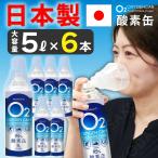 酸素缶 日本製 【6本セット】 5L 東亜産業 濃縮酸素 携帯酸素スプレー 酸素ボンベ 家庭用 高濃度酸素 携帯 酸素吸入器 携帯酸素缶 登山 IT WEB限定