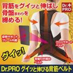 姿勢矯正ベルト Dr.PRO グイッと伸びる背筋ベルト 姿勢サポーター 姿勢補正ベルト 姿勢補正 補正ベルト 猫背補正 背筋補正 猫背 送料無料