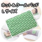 メール便 ホット&クールパッド Lサイズ ホットパック あったか グッズ 湯たんぽ 冷え対策 保温グッズ 電子レンジ レンジ 温パッド 冷パッド 対策 送料無料