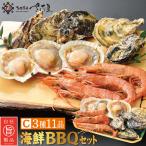 ショッピング父の日 2~3人用 バーベキューセット C 海鮮 BBQセット 3種11品 2〜3人前【冷凍便】 母の日 父の日