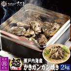 カキ 缶焼き 2kg 約20〜30個(殻付き牡蠣 かき)缶・軍手・ナイフ付き