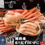 【訳あり】越前産 茹で紅ズワイガニ姿１杯（600〜800g）獲れたて浜茹でを即日発送！【冷蔵便】