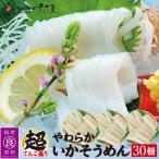  super economical Aomori prefecture production squid vermicelli 30.900~1050g freezing flight Father's day 