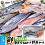 ショッピングウロコ 鮮魚ボックス 朝獲れおまかせ鮮魚セット5000円コース (３種以上) 詰め合わせ　ウロコ・内臓・エラ処理済み【冷蔵便】 母の日 父の日