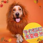 猫犬服帽子たてがみライオンハロウィ...