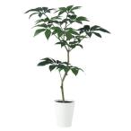 人工観葉植物 ツピダンサス FST 150 ポット付き 高さ150cm （P45-91603) （代引き不可）