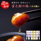 入学内祝い 母の日 梅干し 紀州 南高梅 個包装 ギフト 天の梅 55 | 内祝い お返し お礼の品 香典返し 法事 お供え物 お供え 優良配送