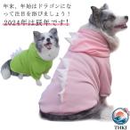  домашнее животное одежда собака для костюм большой собака средний собака собака одежда дракон преображение одежда Parker 2024 осень-зима . год животное маскарадный костюм 