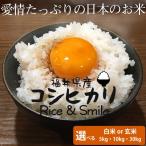 福井県産米 「コシヒカリ」 10kg(5kg×2袋) 白米 玄米 29年産 選べる種類・数量 お米 送料無料