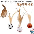  кошка игрушка 3 шт. комплект эластичность мяч перо имеется игрушка движение нехватка меры -тактный отсутствует аннулирование кошка для перо мяч удобный легкий в использовании . починка простой рекомендация внимание item 