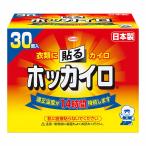 ホッカイロ 貼る レギュラー 30個入