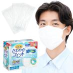 レック(LEC) 日本製 不織布 マスク 白 さわやかフィット ふつうサイズ 60枚入 ( 個包装 ) 175×90mm /幅広ゴム/JIS規格適合