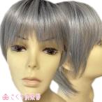 フルウィッグ 人工毛 ミセス シニア向け 白髪入りマッシュボブ　機械植え製 hm017 医療用にも最適 動画あります