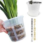 胡蝶蘭 胡蝶蘭の植え替え 植木鉢 屋外 プラスチック 透明 プランター 屋内 鉢 5鉢セット 蘭の鉢 観葉植物 オーキッドポット 植木鉢 多肉植物 洋