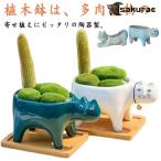 おしゃれ 植木鉢 プランター 多肉植