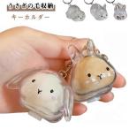 ショッピングうさぎ うさぎの毛 キーホルダー ペット 遺毛 ケース 透明 遺毛入れ ペット うさぎの毛 ペットメモリアルボトル うさぎのキーホルダー 毛を保管するボトル