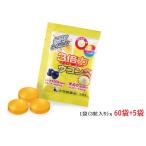 【特典付】３倍力 ウコン 60袋セッ�