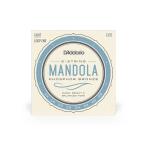D'Addario ダダリオ マンドラ弦 フォスファーブロンズ Light .014-.049 EJ72〔daddario ダダリオ〕〔ゆうパケット対応〕＊