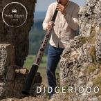 MEINLSonicEnergyス...