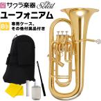 Soleil ユーフォニアム SEU 単品(専用ケース、その他付属品付き)【ソレイユ ユーフォニウム 金管楽器 管楽器】【大型】