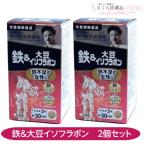  металлический &amp; большой бобы isoflabon2 шт. комплект Noguchi . Gakken . место металлический isoflabon женщина 30 день минут . кислота . металлический нехватка 