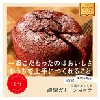おうちで手作りキット 濃厚ガトーショコラ 142g