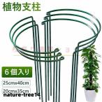 植物支柱 6個入 花ささえ 園芸支柱 植物サポート ココナッツ 観葉支柱　観葉植物 つる性植物 観葉支柱 誘引 支柱 半円形 簡単設置 花支え