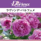 送料無料ラヴァンデパルフュメ6号鉢...