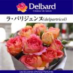 ショッピング薔薇 送料無料　ラ パリジェンヌ6号鉢　春開花株　　鉢植え バラ 薔薇 デルバール 大苗 フレンチローズ 開花苗