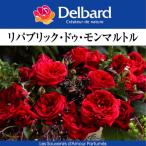 送料無料リパブリックドゥモンマルト...