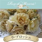 送料無料 ラ ブロッシュ6号鉢大苗予約 鉢植え バラ 薔薇 河本バラ園 大苗 ラブロッシュ