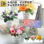 toko - na интерьер поддельный цветок продается в комплекте цветок поддельный искусственный цветок маленький подарок подарок маленький подарок Novelty симпатичный модный объект магазин 