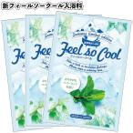 新フィールソークール入浴料 粗品 プチギフト 入浴剤 ギフト 個包装 低価格 セット 香り 挨拶 気持ち おしゃれ クール