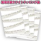 梨地平袋ホワイトラッピング袋ＳＳ