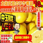 土佐文旦 本場高知産　中玉Ｌ・２Ｌ　サイズ約１０kg　ワケ有ご家庭用ブンタン  ２月上中旬頃より発送予定 沖縄本土と北海道は別途送料 全国の離島は発送不可