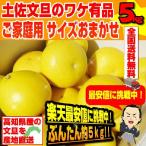 土佐文旦 約５ｋｇ 訳あり文旦 ご家庭用 サイズおまかせ ２月上中旬頃より発送予定 沖縄本土と北海道は別途送料 全国の離島は発送不可