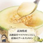  маска дыня высококлассный теплица 2 шар входить Kochi производство Hokkaido, Okinawa материк. другой . стоимость доставки отдаленный остров отправка не возможно 