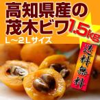  земля .. ... дерево biwaL2L размер 4 упаковка ввод примерно 1.2~1.5kg Okinawa префектура . Hokkaido . отдаленный остров рассылка не возможно 