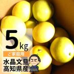  кристалл помело бесплатная доставка примерно 5kg. для бытового использования теплица кристалл помело есть перевод размер . количество. оставив решение кому-то другому house bn язык Kochi префектура производство Okinawa материк . Hokkaido. доставка отдельно вся страна. отдаленный остров отправка не возможно 