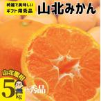 ショッピングみかん ☆山北みかん５kg ギフト用秀品 綺麗で美味しい山北蜜柑　 沖縄本土と北海道は別途送料 全国の離島は発送不可  １１月上頃より発送予定
